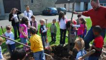 Vegetable beds for kids